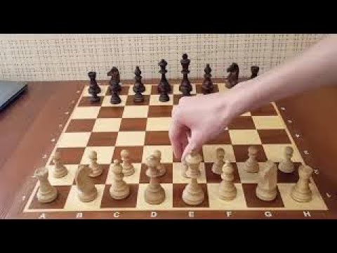 Видео: Играй первым ходом Е4 и ставь МАТ за 2 хода. Одна ЛОВУШКА и больше ничего учить не надо! Шахматы.