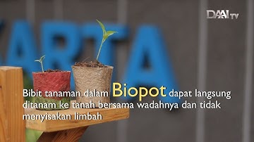 BioPot, Bikin Subur Tanaman dan Ramah Lingkungan