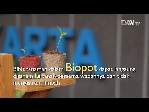 Video: Batang Protein Exo Ramah Lingkungan Dibuat Dengan Tepung Kriket