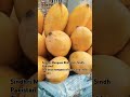 Mangoes|new season #viralshots #youtubeshorts #today #newvideo #ytstudio