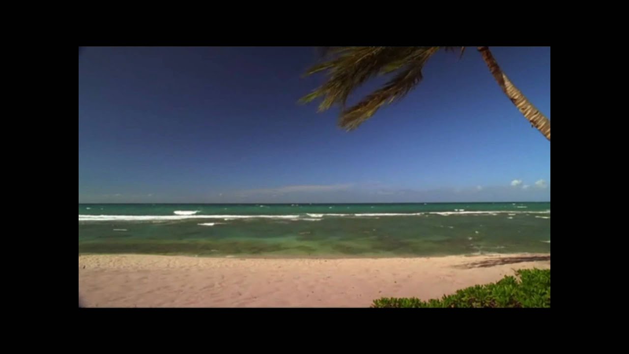 The Other 48 Days LOST 2X07 Beginning Scene YouTube The Other 48 Days LOST 2X07 Beginning Scene YouTube
