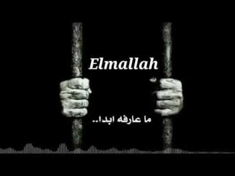 ابو زيزو خواطر فيل