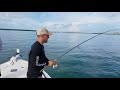 Tarpon, sharks, smokin&#39; reels and more...