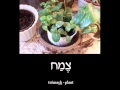 Learn hebrew with pictures and audio  in the house