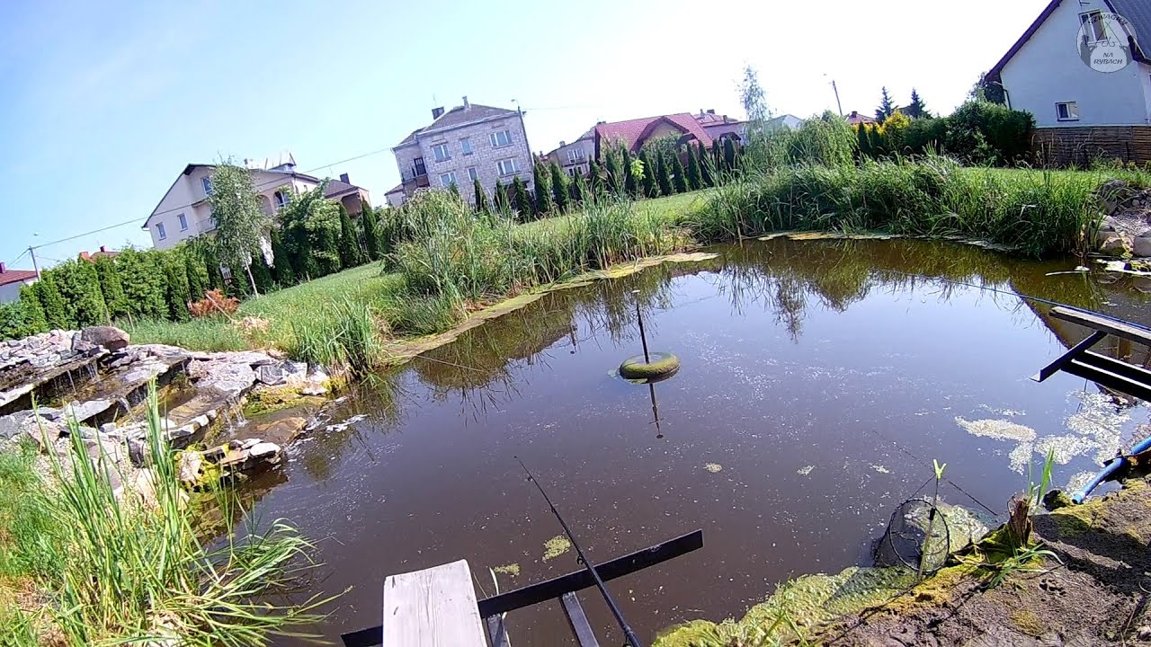 Oczko wodne, .....czy tu coś pływa ?