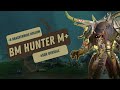 8 brackenhide hollow  hunter bm pov m dragonflight season 4 mythic plus