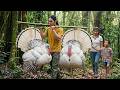 Hunting Giant Turkeys in the Deep Forest, Make Bamboo Cages - Peaceful Farm Life | SURVIVALALONE