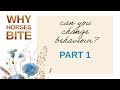 Why Horses Bite. Unique approach in changing equine behavior.
