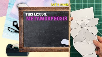 DIY Learning Unit: Insects and Arthropods: Metamorphosis from Matthew Reinhart