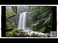 Relaxing Instrumental Rain Music to Relax and Sleep Soundly – Nature Music