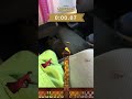 まかはやたなかあ