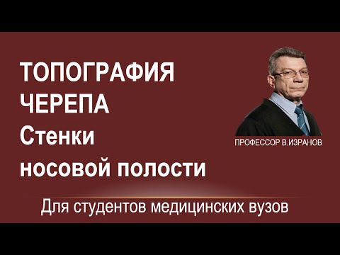 Топография черепа. Стенки носовой полости.