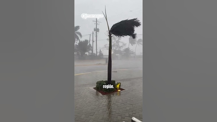¿Cuándo llegará el huracán Beryl a México?