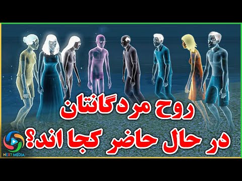 تصویری: کدام موجود زنده را آمیب زنده می دانند؟