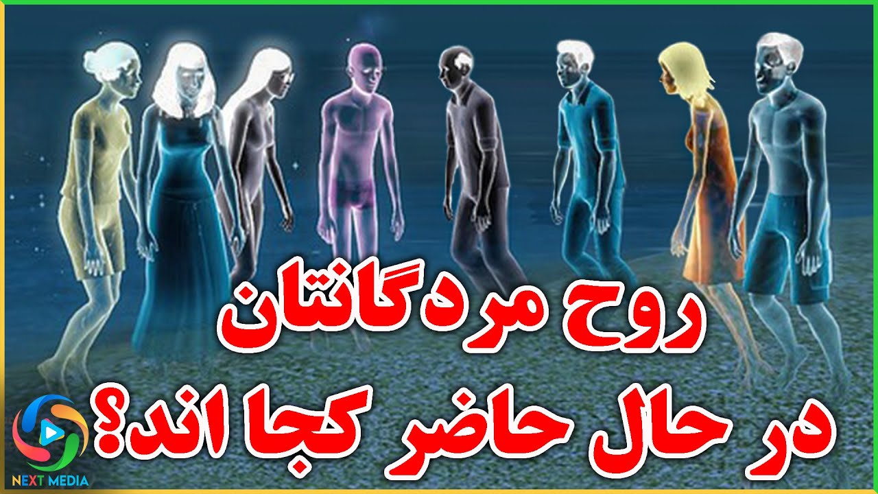 مرده گان در حال حاضر چه کاری انجام می دهند؟ - YouTube