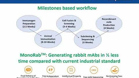 MonoRab: Rabbit mAbs with Better Affinity and Specificity for Challenging Targets