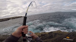 Rock Fishing Australia for Monster Blue Groper