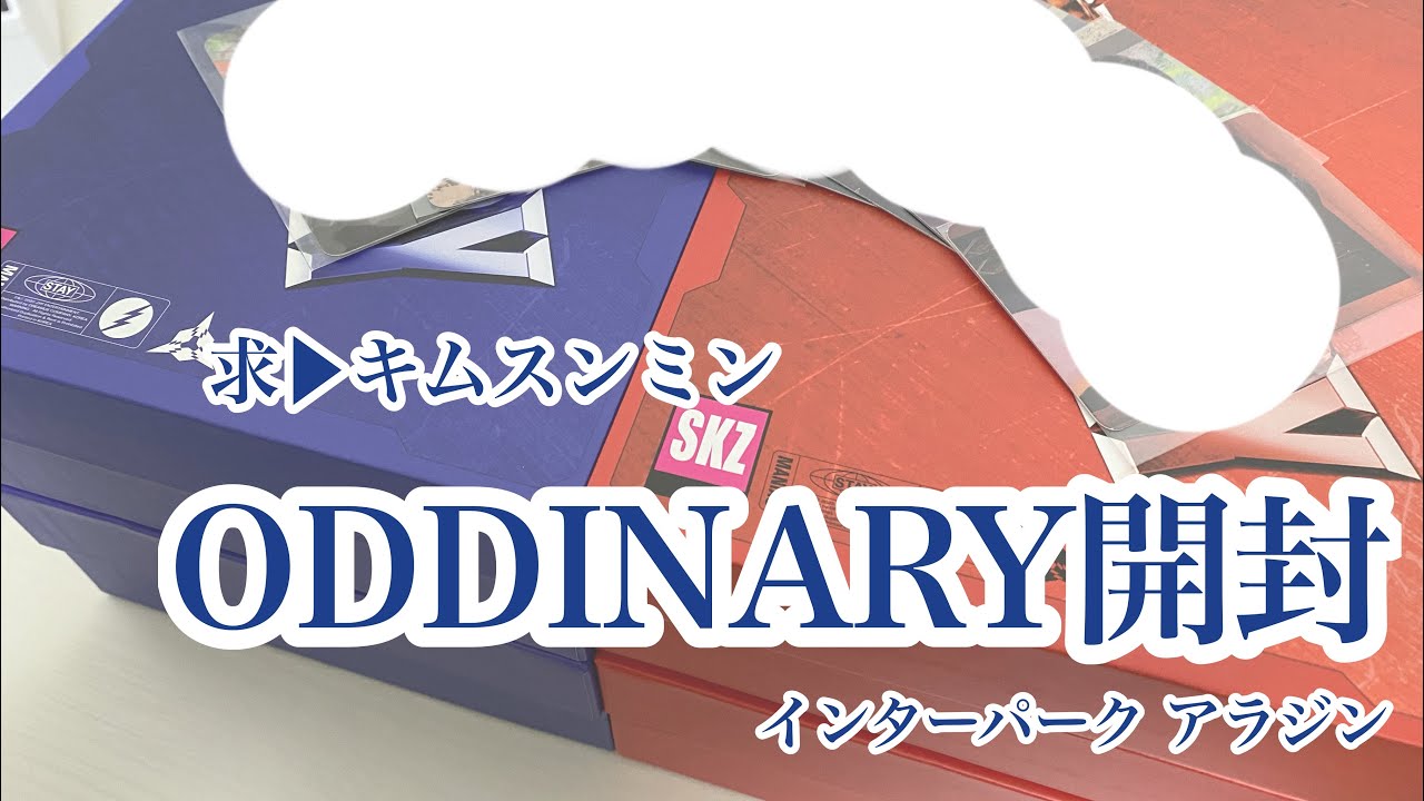 Stray Kids  ODDINARY インターパーク コンプ