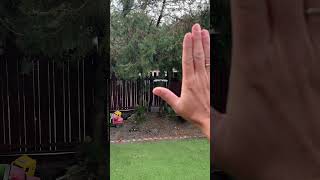 DJI Neo 2 #drón #drone #dronehungary #myactioncam #djineo2