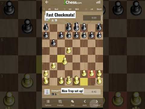 Nice trap setup