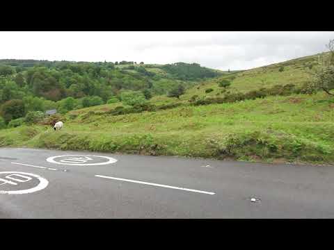 Dartmoor - Close