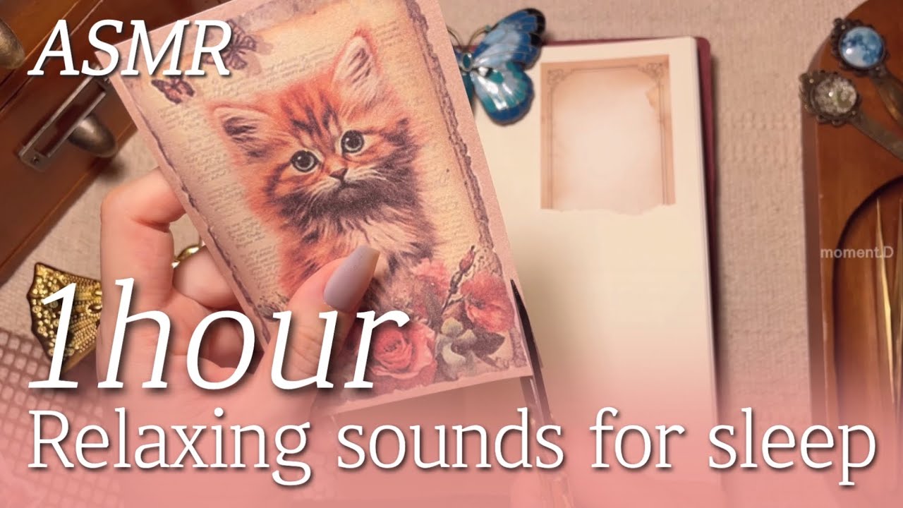 ✨ 1 hour ASMR for sleep✨ 수면용 편안한 소리 다꾸 모음 36 relaxing sounds #papertherapy #scrapbooking