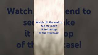 I’m almost there, keep watching!! #funny #lifeisbutadream #redflags