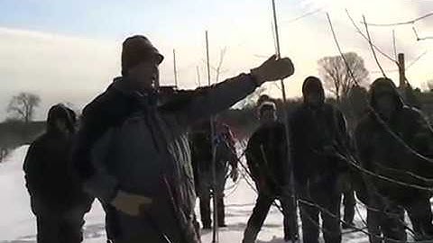 Dr. Terence Robinson, 1/15/2009, pruning vertical-axis apple trees