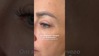 Артикул ВБ 248131703 Артикул ОЗОН 2004356095