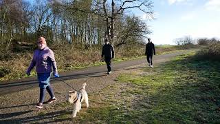 Christmas morning, 2019, Norfolk: a Finn walk. by James Anderson 67 views 4 years ago 3 minutes, 37 seconds