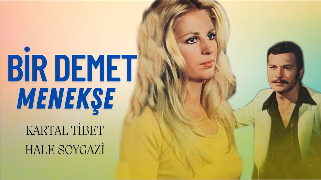 Bir Demet Menekşe Türk Filmi | FULL | Kartal Tibet | Hale Soygazi