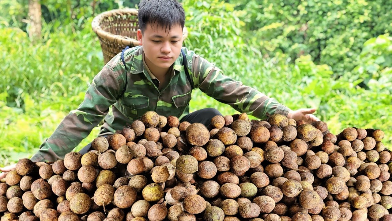 Trieu Kha meets a rare fruit that few people know about and sells for high value to improve life.