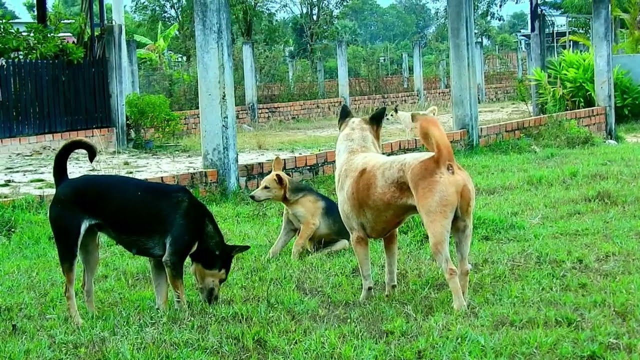 Love sweet life best time many Action love very much baby chocolate love sambath very much