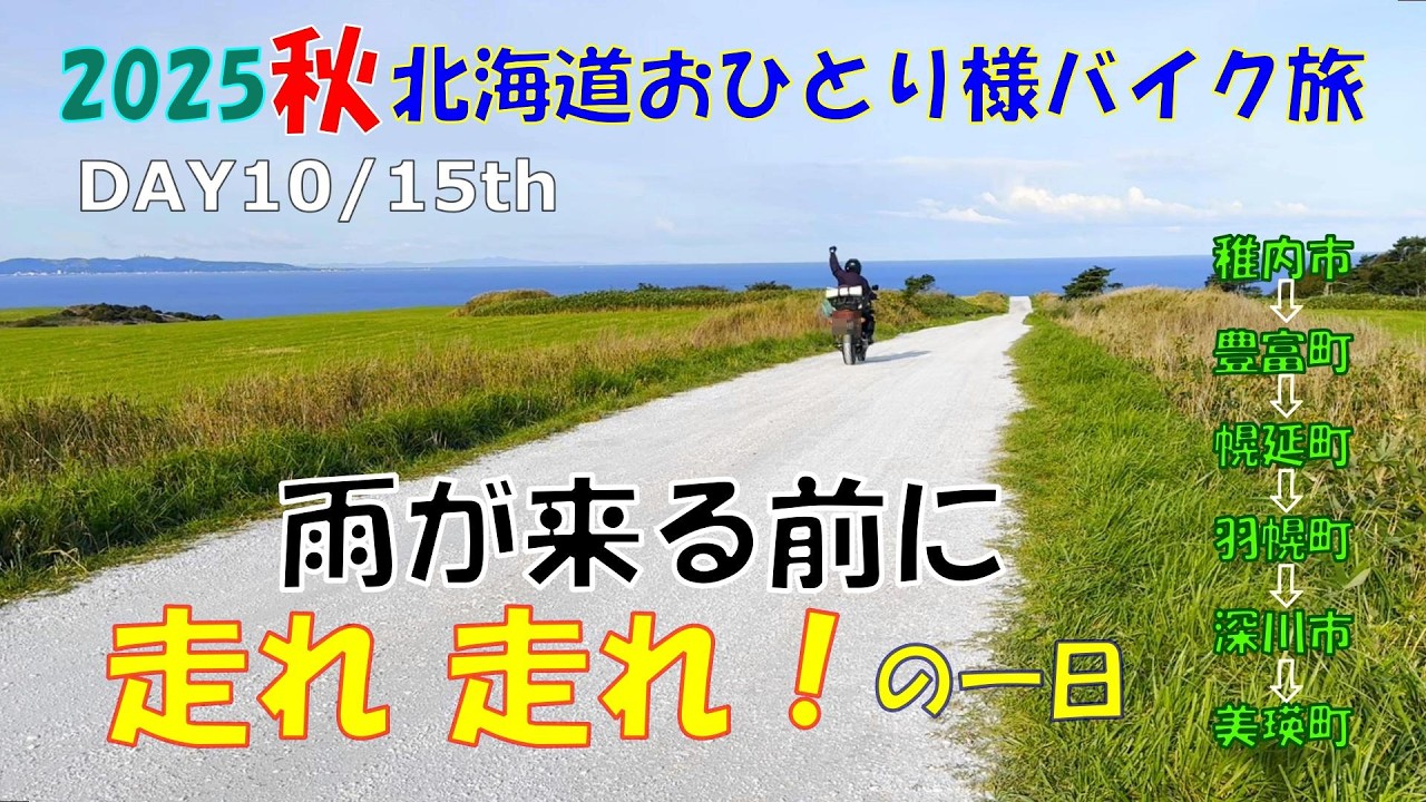 北海道道民 Amazon.co.jp: 地域批評シリーズ63 これでいいのか北海道 道民探究編