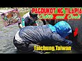 Catch and Cook | Pangdudukot ng mga halimaw na Tilapia + 9K Selebrasyon