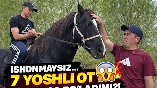 БАЙ БАЙ ЖОНИБОР ГУЗАЛ ОТ ЭКАН #horse 