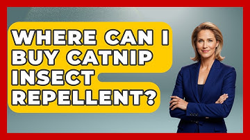 Where Can I Buy Catnip Insect Repellent? - Insects and Invaders