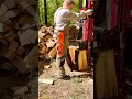log splitter hydraulic #logsplitter #firewood