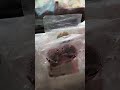 Consejos sobre nepenthes con este frío.