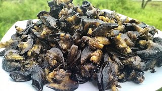 Tips Sebelum Menah Bekicot Agar Tidak Berlendir Dan Tidak Bau Tanah Tidak Amis