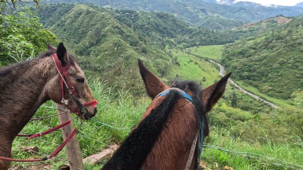 Plus Ultra Salento's Palestina Mountains
