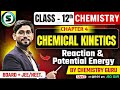 Chemical Kinetics - 12 | Reaction &amp; Potential Energy | Chemistry Class 12 Chapter 4