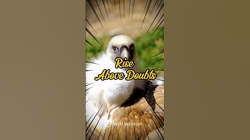 Rise Above Doubts: Believe in Yourself and Soar Beyond Limits with Eagle Strength