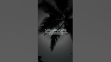 القارئ أحمد خضر/ستوريات قرآن Quran/راحــه نفسيه ❤️❤️