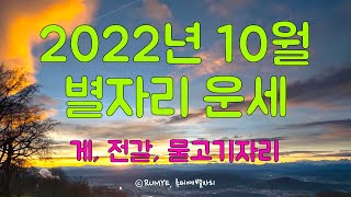 (루미예별자리) 2022년 10월 별자리운세 | 게, 전갈, 물고기자리