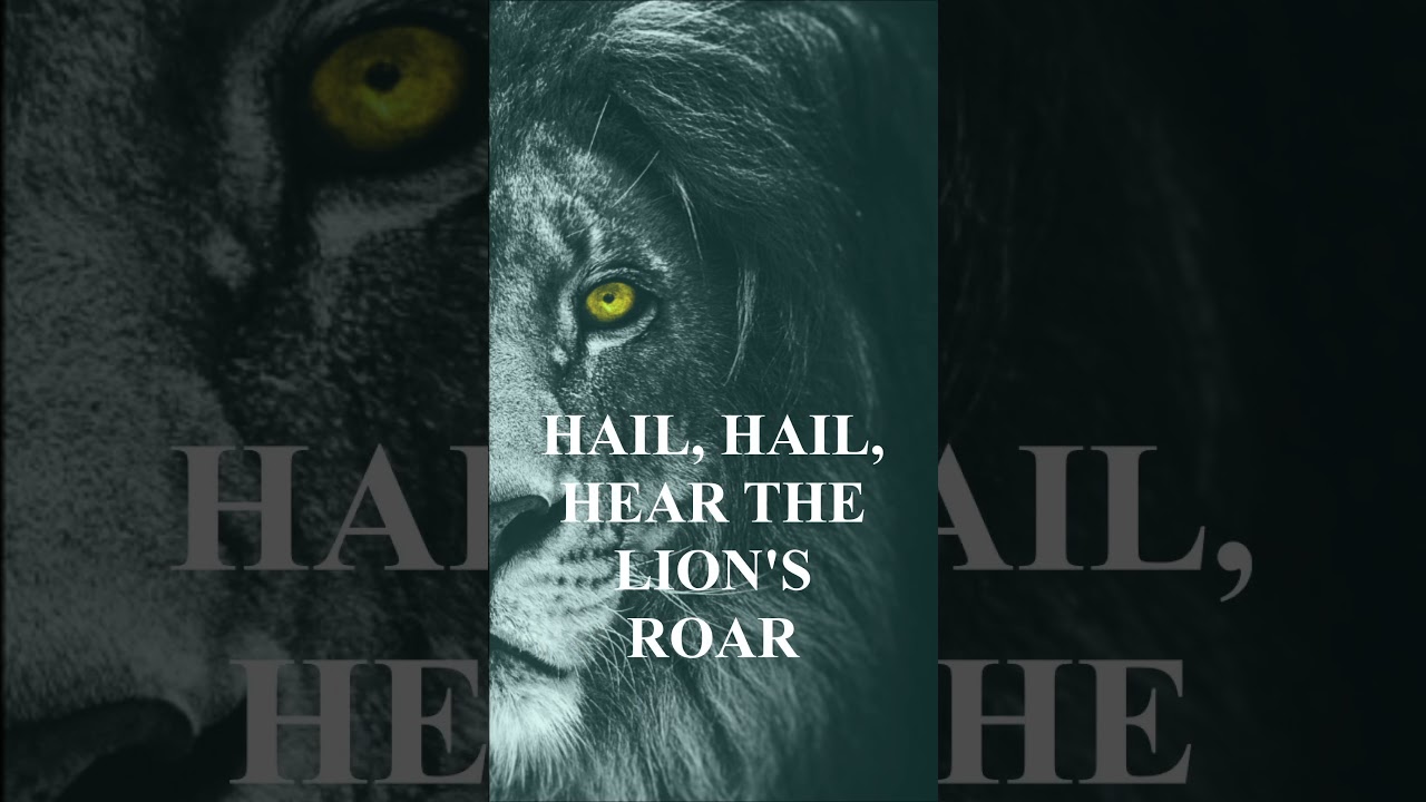 Lion of Judah | Hear the Lion Roar | 241 Creative Museum 