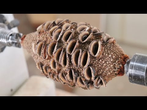 Woodturning - The Nut-Light