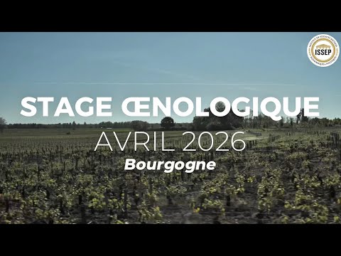 Wine Tasting Workshop in Burgundy – April 2026