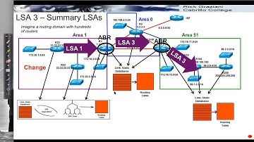 OSPF LSAs