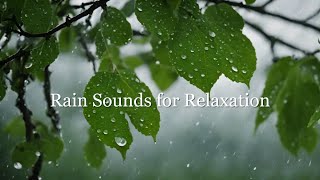 Ambient Sounds for Relaxation | Relaxing Music and Rain Sounds for Deep Sleep and Meditation 🌧️🌊